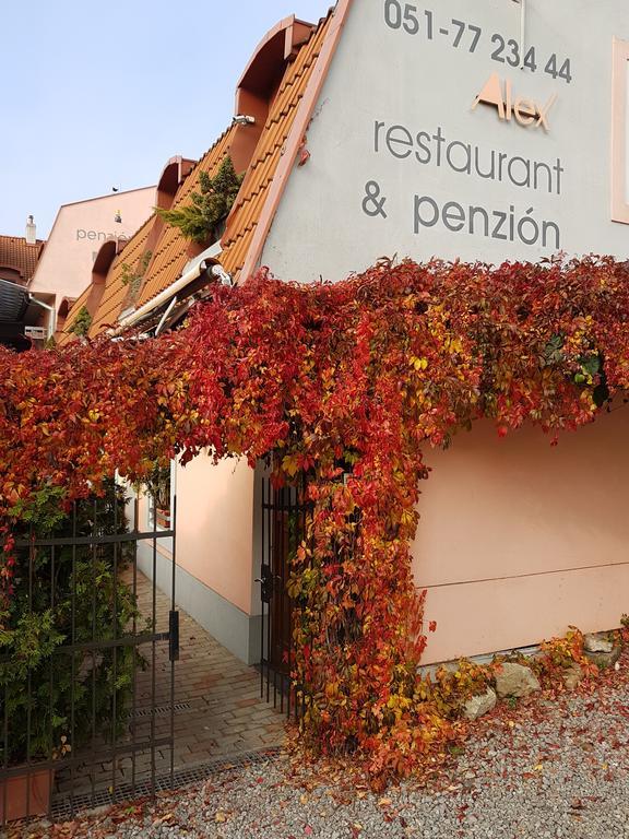 Alex Pension Presov Exterior photo