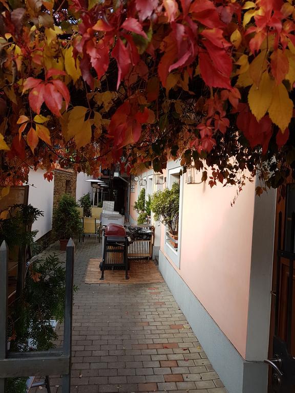Alex Pension Presov Exterior photo